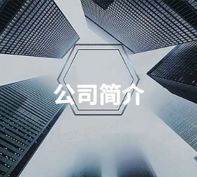 公司简介